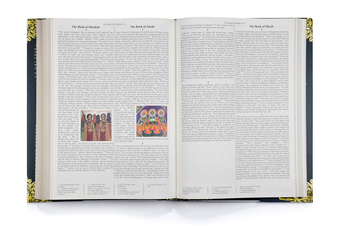 Bundle - The Most Complete Ethiopian Bible in English, by Asher Wilson: Deluxe Red Letter Edition and The Definitive Ethiopian Bible Study Guide